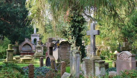 Un cimetière écologique, où le cercueil en carton sera le bienvenu, bientôt à Paris